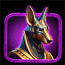 JOKER RA SUNRISE Anubis
